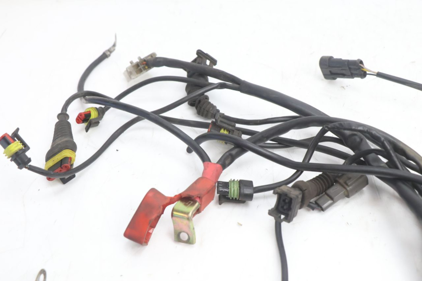 photo de FAISCEAU DUCATI SS IE DS CARENEE 1000 (2002 - 2006) - Points de fixation