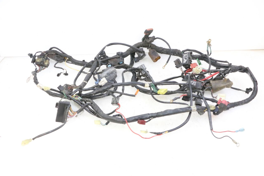 photo de FAISCEAU HONDA ST PAN EUROPEAN 1300 (2002 - 2013)