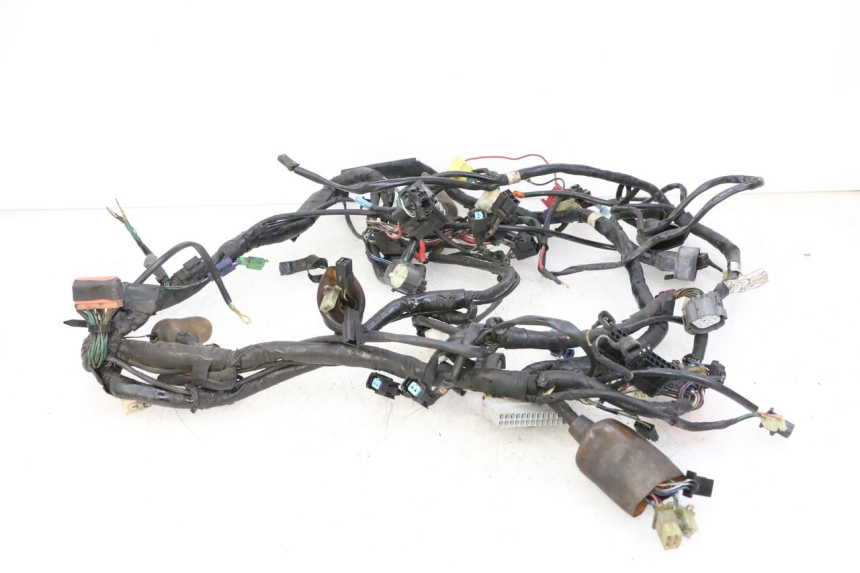 photo de FAISCEAU HONDA ST PAN EUROPEAN 1300 (2002 - 2013)