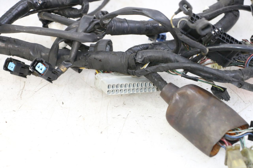 photo de FAISCEAU HONDA ST PAN EUROPEAN 1300 (2002 - 2013)