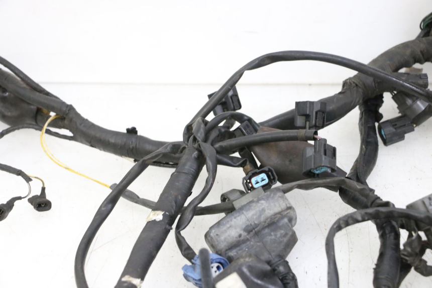 photo de FAISCEAU HONDA ST PAN EUROPEAN 1300 (2002 - 2013)