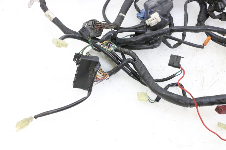 photo de FAISCEAU HONDA ST PAN EUROPEAN 1300 (2002 - 2013)