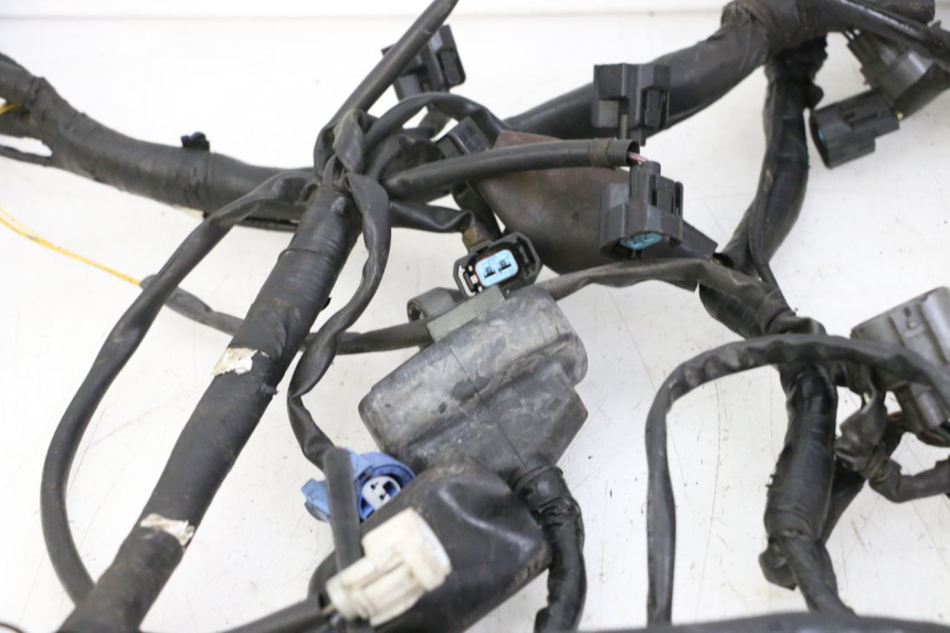 photo de FAISCEAU HONDA ST PAN EUROPEAN 1300 (2002 - 2013)