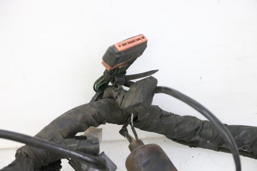 photo de FAISCEAU HONDA ST PAN EUROPEAN 1300 (2002 - 2013)