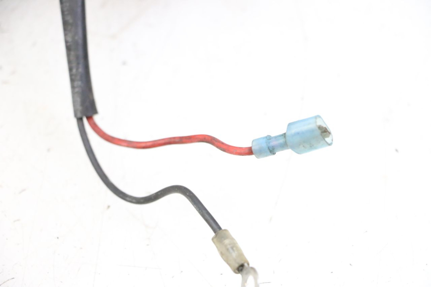 photo de FAISCEAU HONDA ST PAN EUROPEAN 1300 (2002 - 2013)