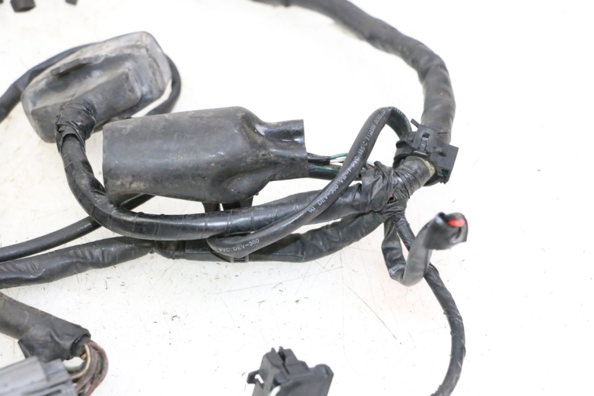 photo de FAISCEAU HONDA ST PAN EUROPEAN 1300 (2002 - 2013)