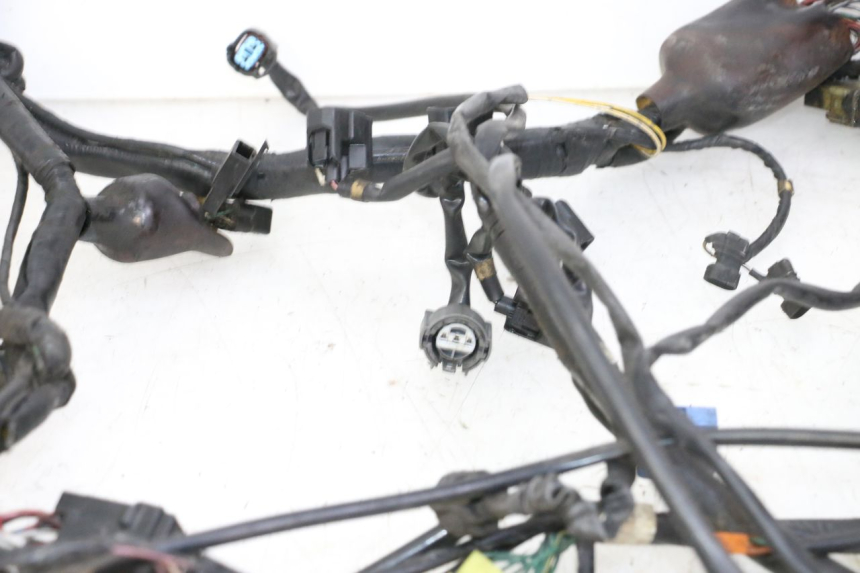 photo de FAISCEAU HONDA ST PAN EUROPEAN 1300 (2002 - 2013)
