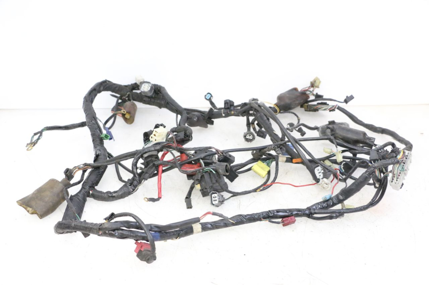 photo de FAISCEAU HONDA ST PAN EUROPEAN 1300 (2002 - 2013)