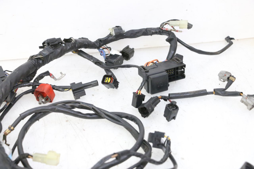 photo de FAISCEAU SUZUKI SV S 650 (2003 - 2009)