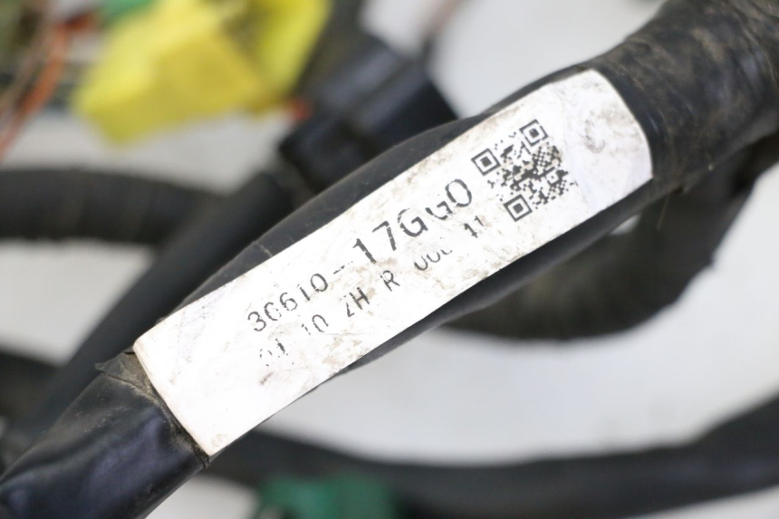 photo de FAISCEAU SUZUKI SV S 650 (2003 - 2009)