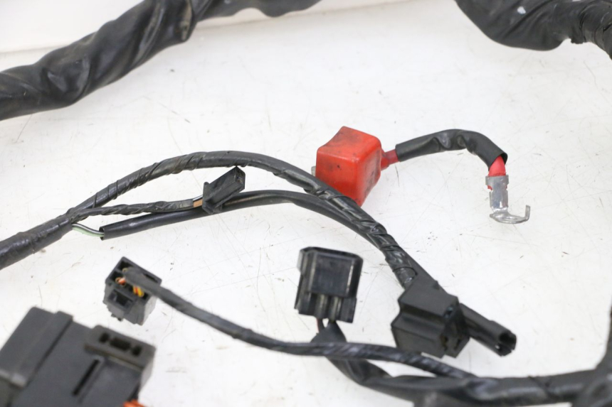 photo de FAISCEAU SUZUKI SV S 650 (2003 - 2009)