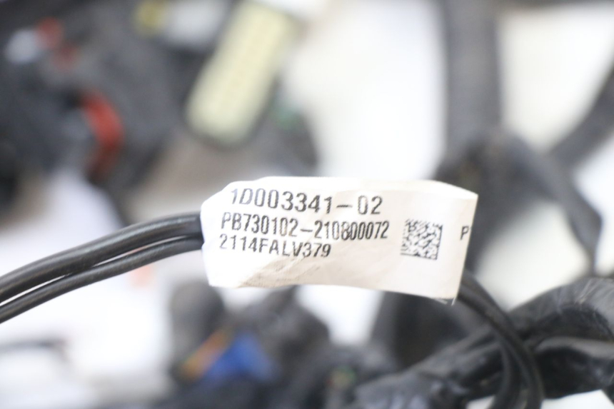 photo de FAISCEAU APRILIA SXR 50 (2021 - 2023)