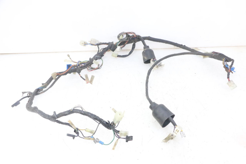 photo de FAISCEAU YAMAHA TDR DELTABOX 125 (1993 - 2003)