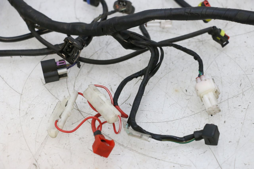 photo de FAISCEAU NECO TEMPO 4T 50 (2022 - 2026) - Vue d’ensemble