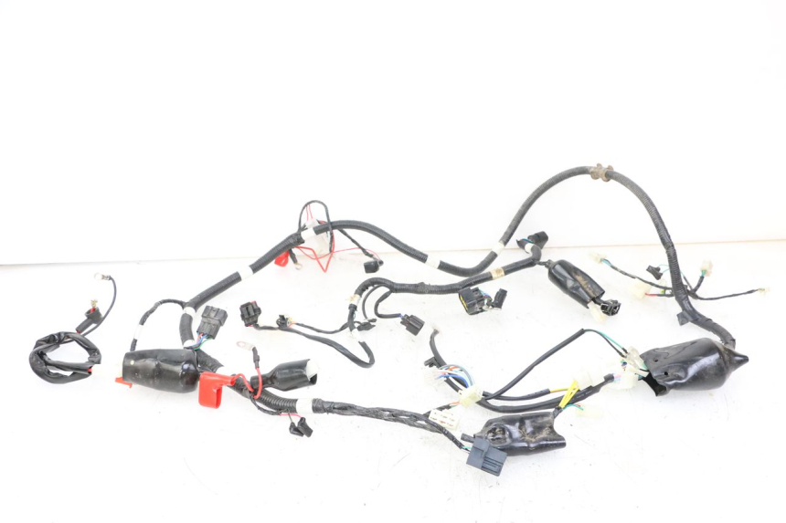 photo de FAISCEAU TNT MOTOR BOSTON 4T 50 (2018 - 2025)