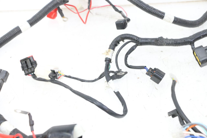 photo de FAISCEAU TNT MOTOR BOSTON 4T 50 (2018 - 2025)