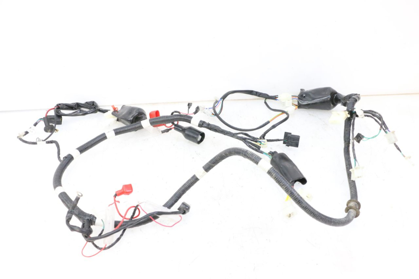photo de FAISCEAU TNT MOTOR BOSTON 4T 50 (2018 - 2025)