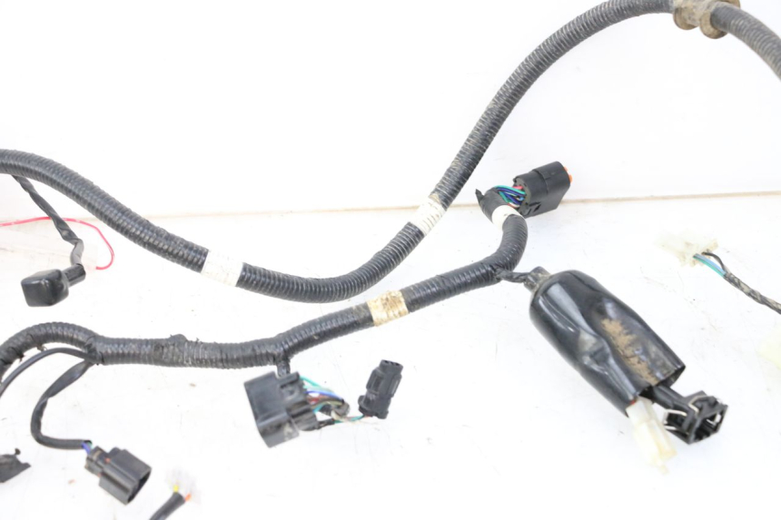 photo de FAISCEAU TNT MOTOR BOSTON 4T 50 (2018 - 2025)