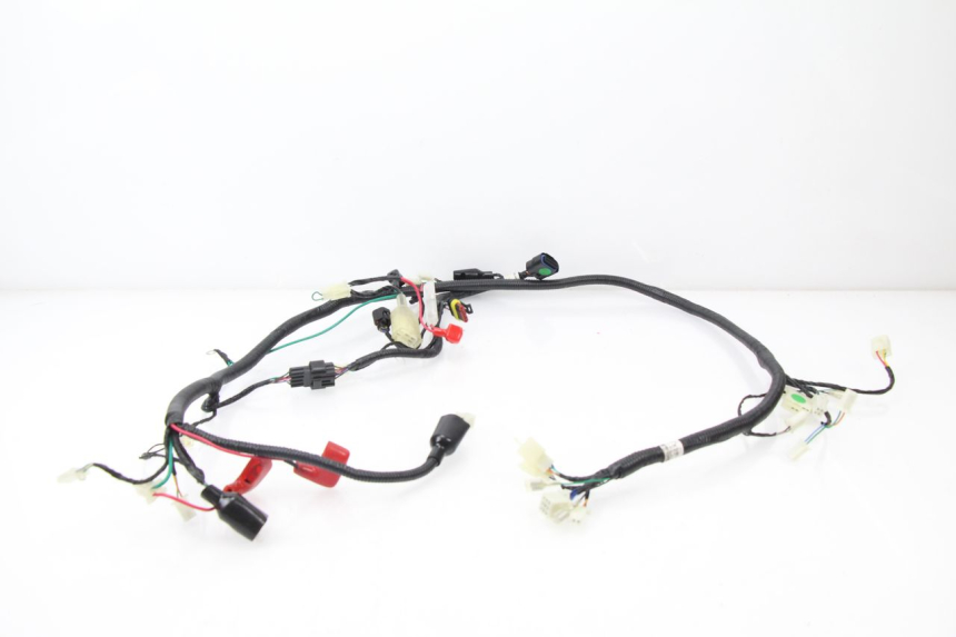 photo de FAISCEAU TNT MOTOR ROMA 10' 4T 50 (2007 - 2018)