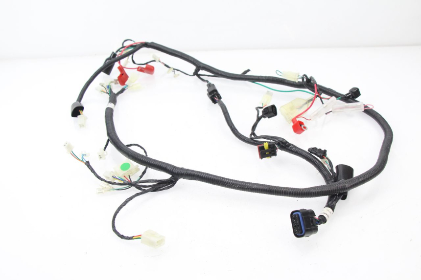 photo de FAISCEAU TNT MOTOR ROMA 10' 4T 50 (2007 - 2018)