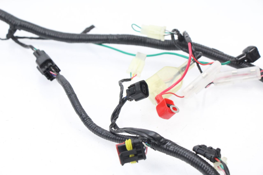 photo de FAISCEAU TNT MOTOR ROMA 10' 4T 50 (2007 - 2018)