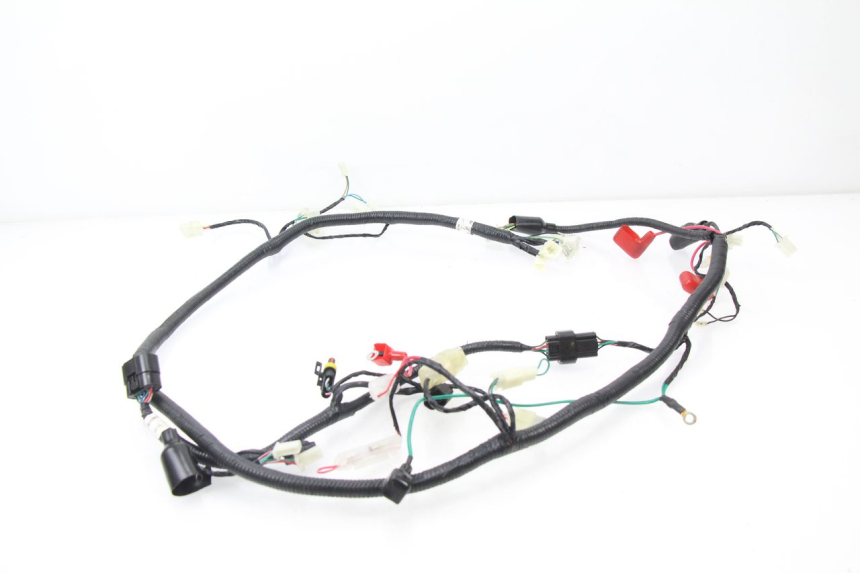 photo de FAISCEAU TNT MOTOR ROMA 10' 4T 50 (2007 - 2018)