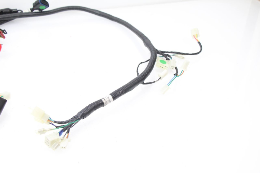 photo de FAISCEAU TNT MOTOR ROMA 10' 4T 50 (2007 - 2018)