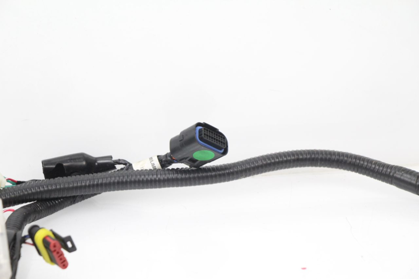 photo de FAISCEAU TNT MOTOR ROMA 10' 4T 50 (2007 - 2018)