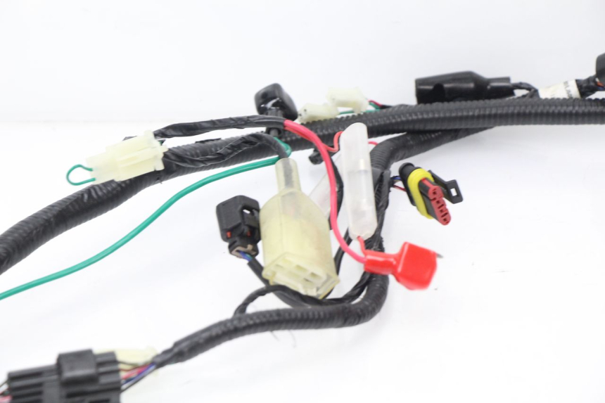 photo de FAISCEAU TNT MOTOR ROMA 10' 4T 50 (2007 - 2018)