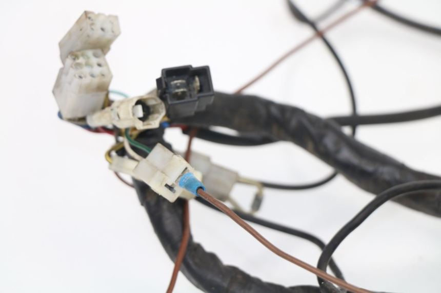 photo de FAISCEAU APRILIA TUONO 125 (2003 - 2005) - Détail de la pièce