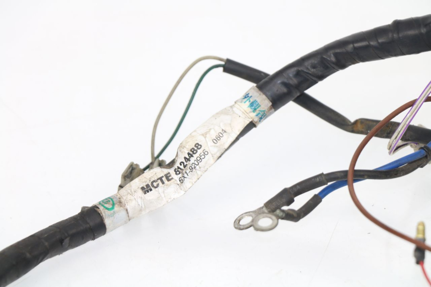 photo de FAISCEAU APRILIA TUONO 125 (2003 - 2005) - Zoom état d’usage