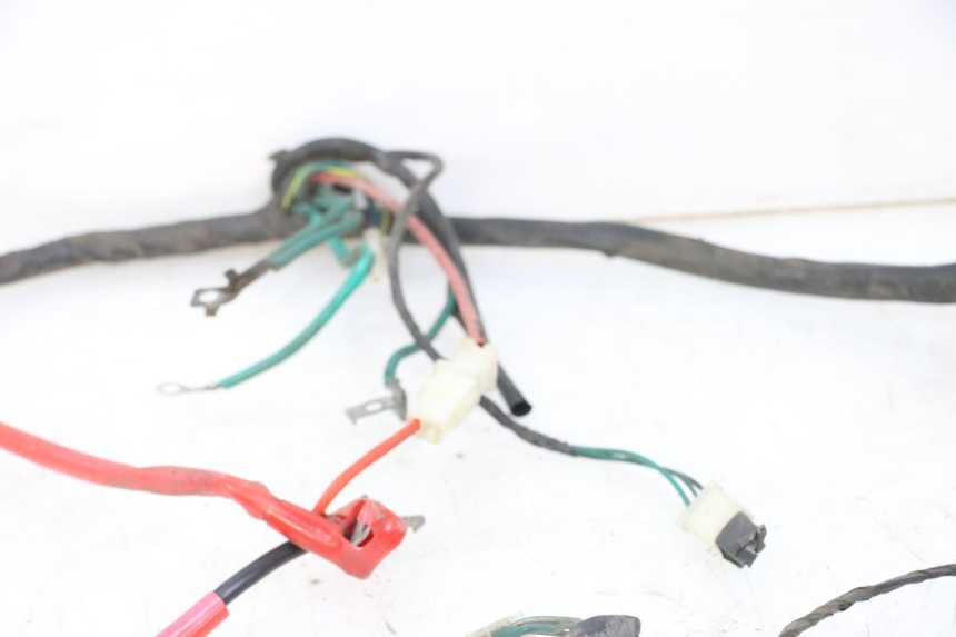 photo de FAISCEAU PEUGEOT TWEET PRO CARGO 50 (2018 - 2020) - Vue d’ensemble