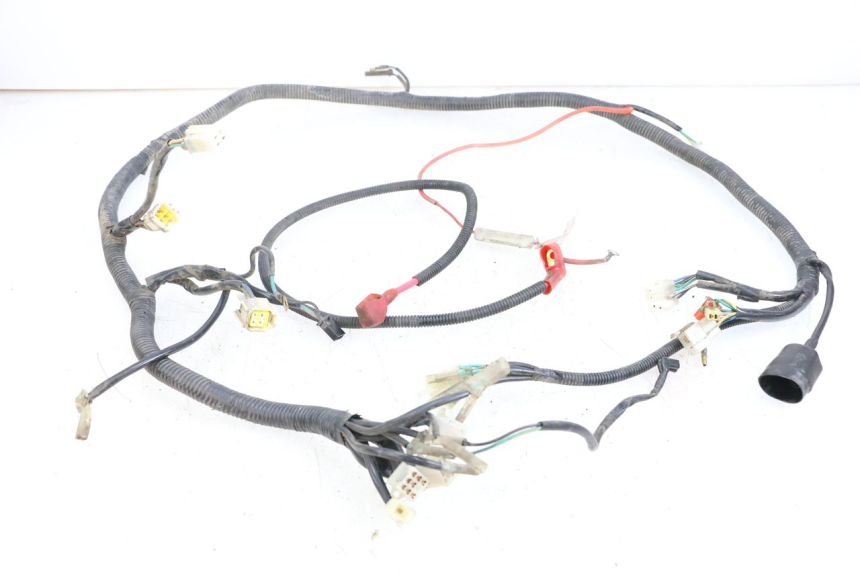 photo de FAISCEAU BEELINE VELOCE 4T 50 (2011 - 2020)