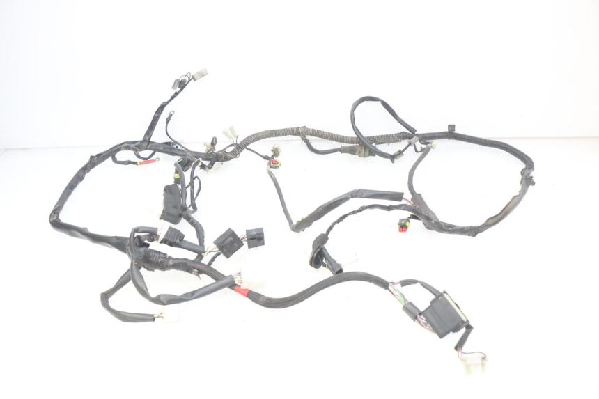 photo de FAISCEAU PIAGGIO VESPA PRIMAVERA 2T 50 (2013 - 2018)