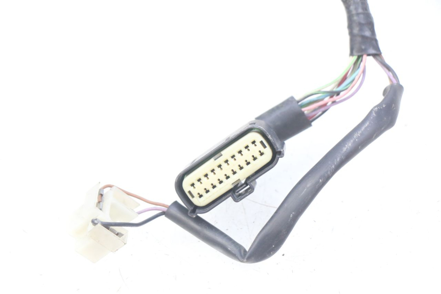 photo de FAISCEAU PIAGGIO VESPA PRIMAVERA 2T 50 (2013 - 2018)