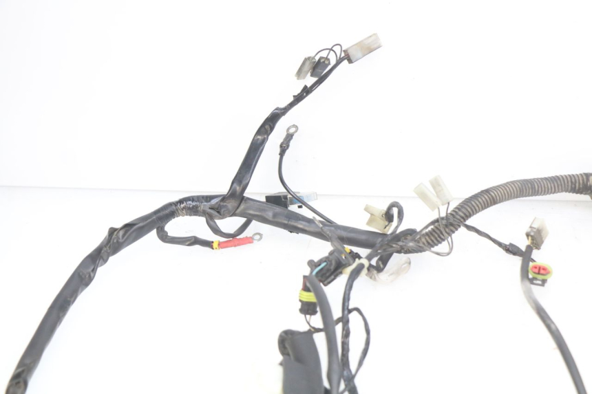 photo de FAISCEAU PIAGGIO VESPA PRIMAVERA 2T 50 (2013 - 2018)