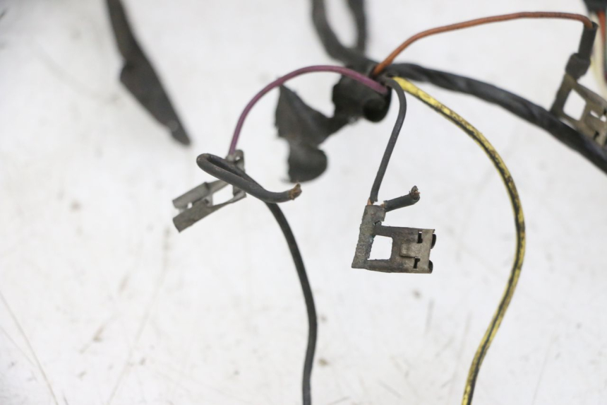 photo de FAISCEAU PIAGGIO VESPA S 2T 50 (2007 - 2014)