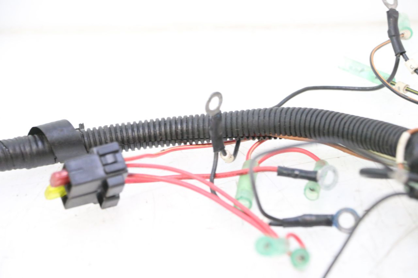 photo de FAISCEAU YAMAHA WAVE RUNNER GP R 1200 (2000 - 2003) - Vue produit