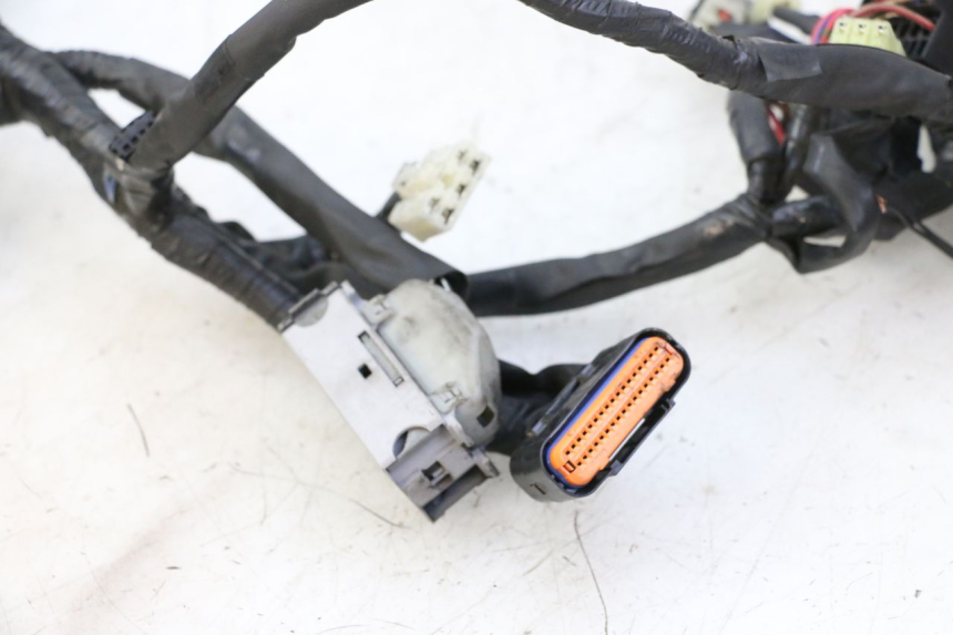 photo de FAISCEAU YAMAHA XJ6 ABS 600 (2008 - 2016)