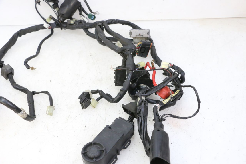 photo de FAISCEAU YAMAHA XJ6 ABS 600 (2008 - 2016)