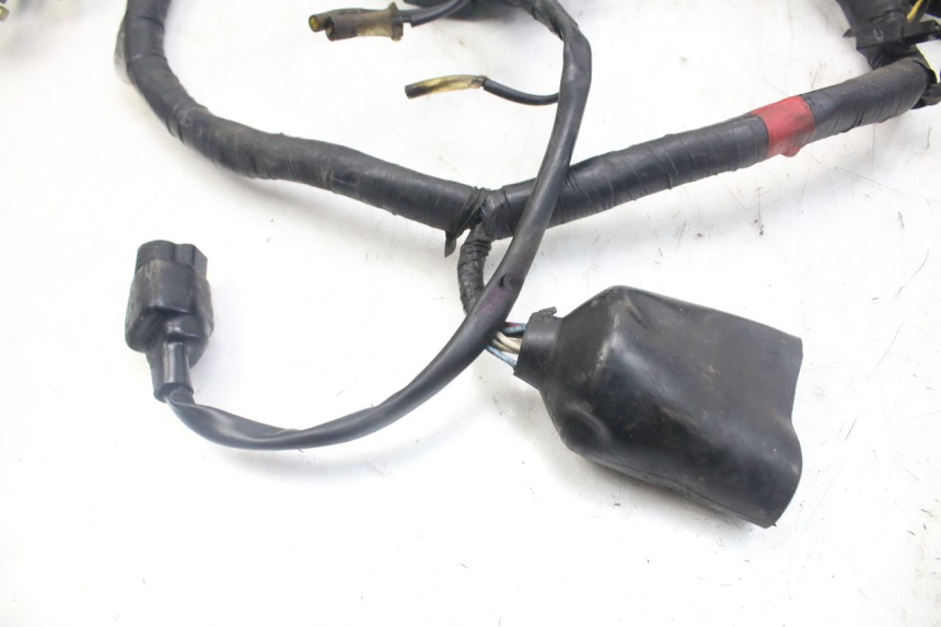 photo de FAISCEAU YAMAHA XJN DIVERSION 600 (2000 - 2003)