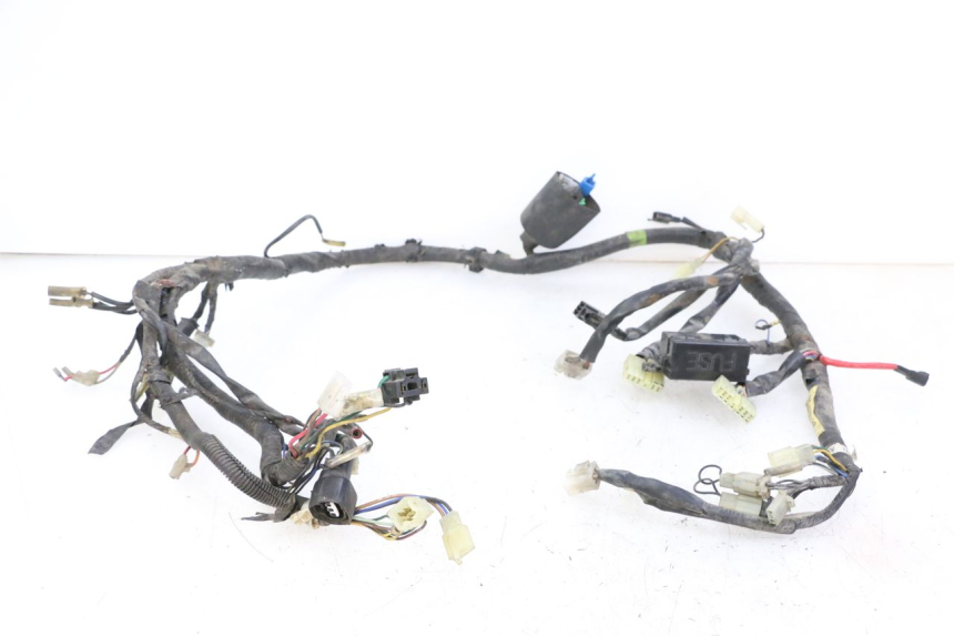 photo de FAISCEAU YAMAHA XJN DIVERSION 600 (2000 - 2003)