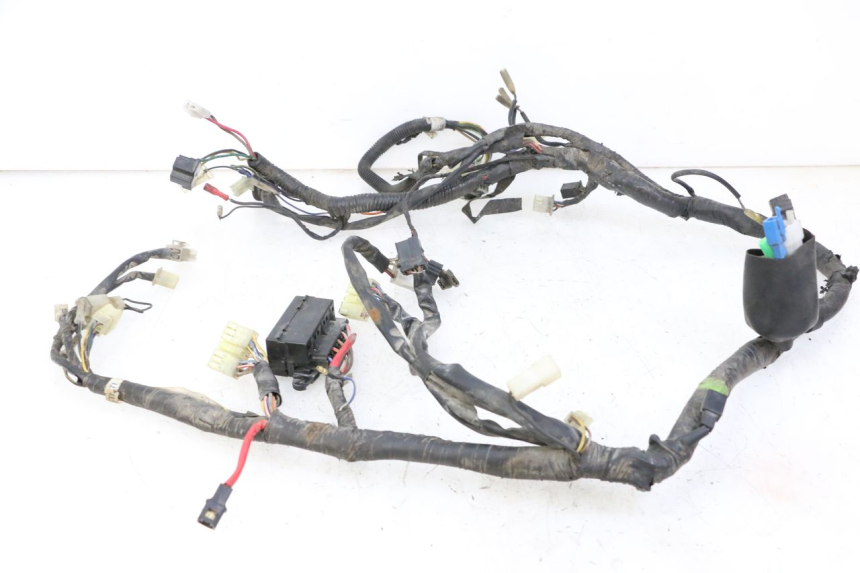 photo de FAISCEAU YAMAHA XJN DIVERSION 600 (2000 - 2003)