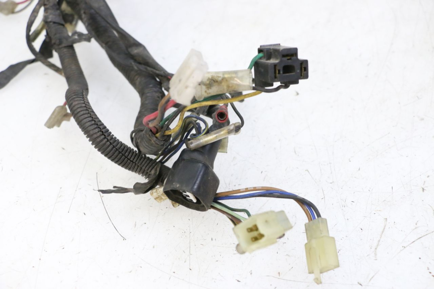 photo de FAISCEAU YAMAHA XJN DIVERSION 600 (2000 - 2003)