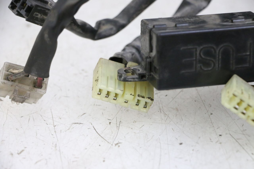photo de FAISCEAU YAMAHA XJN DIVERSION 600 (2000 - 2003)