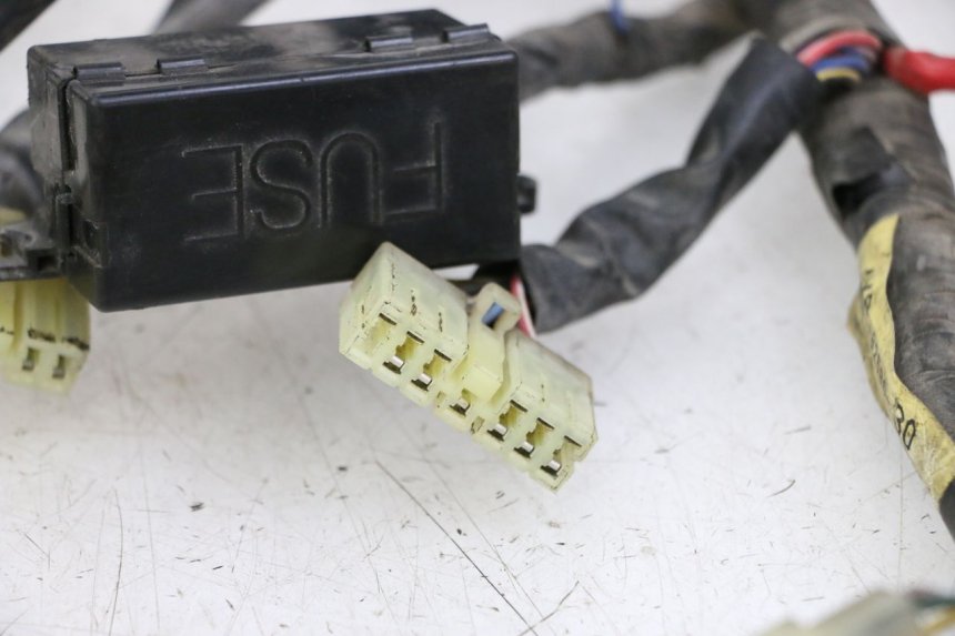 photo de FAISCEAU YAMAHA XJN DIVERSION 600 (2000 - 2003)