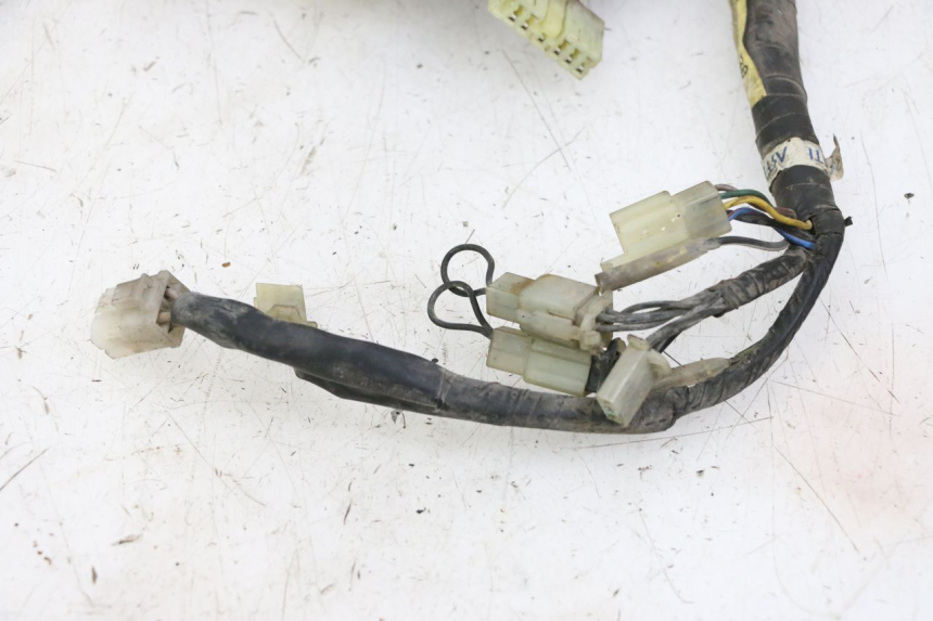 photo de FAISCEAU YAMAHA XJN DIVERSION 600 (2000 - 2003)