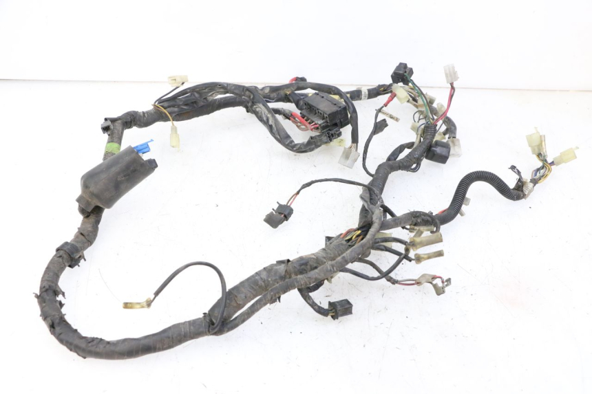 photo de FAISCEAU YAMAHA XJN DIVERSION 600 (2000 - 2003)