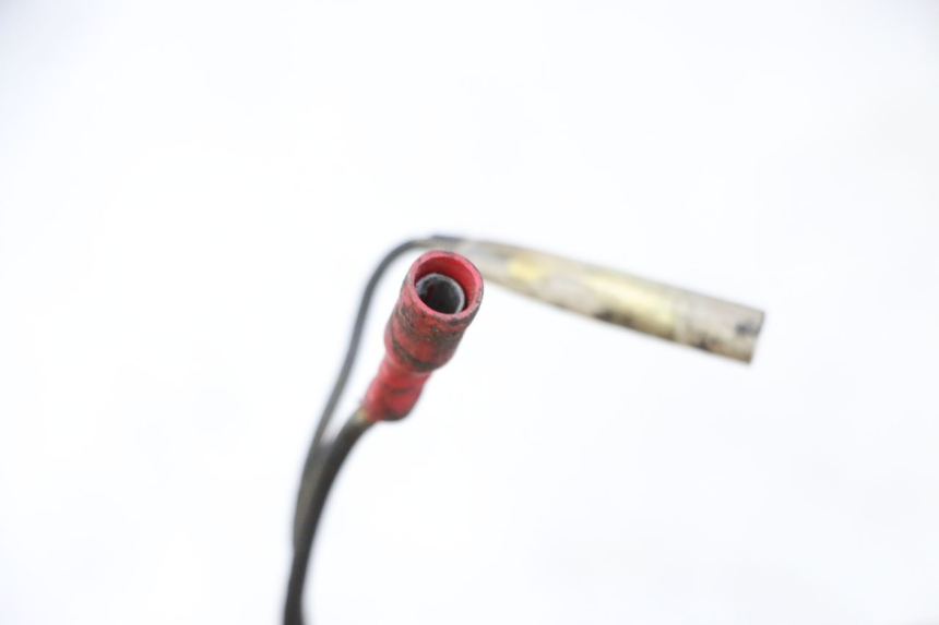 photo de FAISCEAU YAMAHA XJN DIVERSION 600 (2000 - 2003)