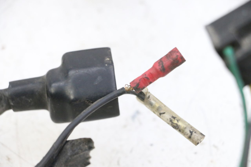 photo de FAISCEAU YAMAHA XJN DIVERSION 600 (2000 - 2003)